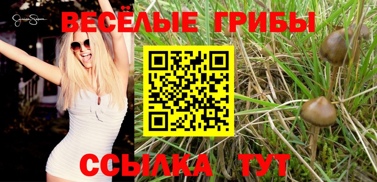 Cocaine Волгоград
