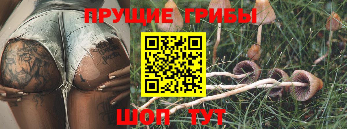 Псилоцибиновые грибы мицелий  Вход с VPN  Волгоград 