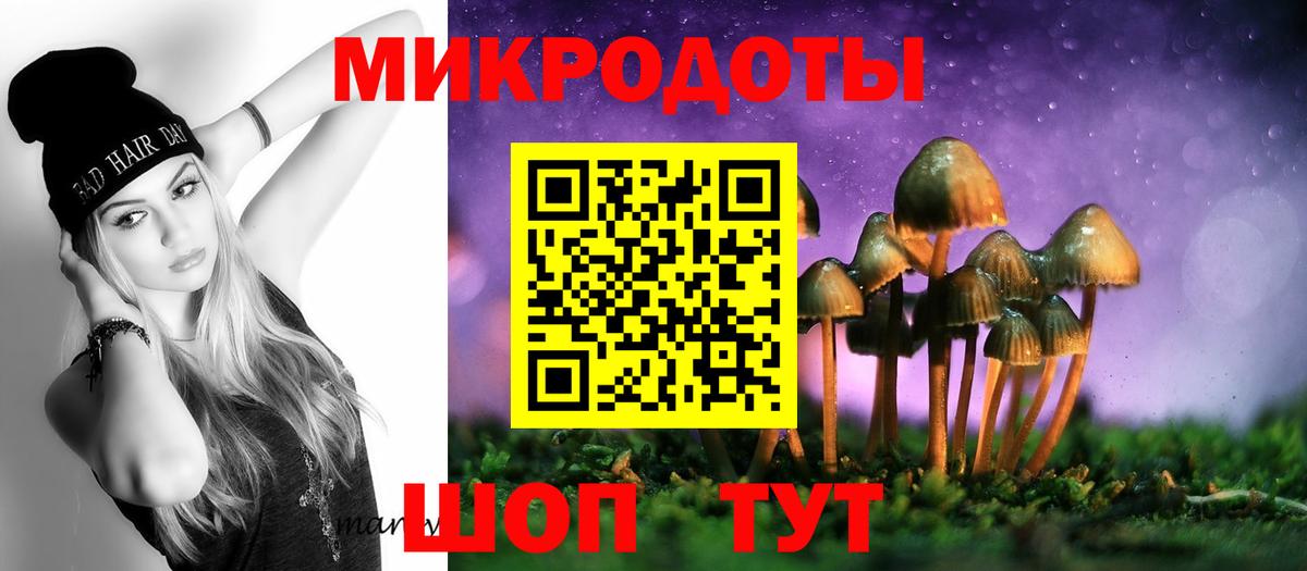 Псилоцибиновые грибы прущие грибы Волгоград